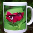 mug DS-077 Trillium erectum 7128